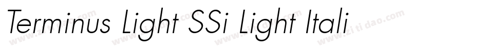 Terminus Light SSi Light Italic字体转换